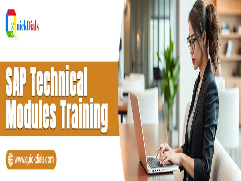 SAP Technical Modules Training